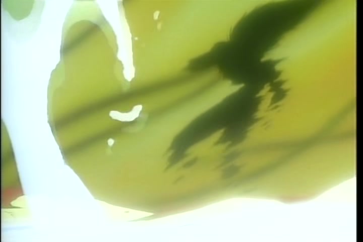 BASTARD!! (1992 OVA) Ep 2: Efreet the Fire Elemental @ 23:38