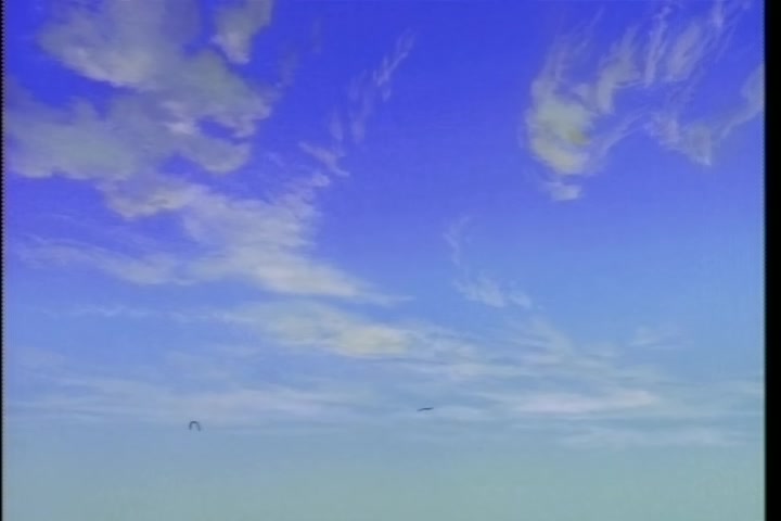 BASTARD!! (1992 OVA) Ep 3: Ninja Master Gara @ 24:37