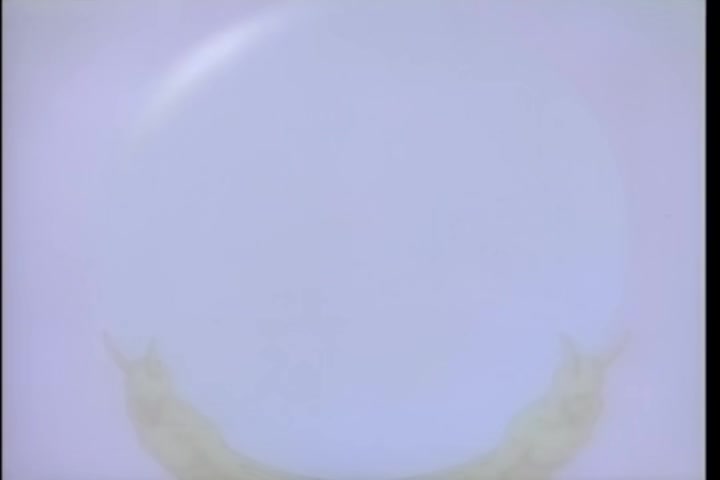 BASTARD!! (1992 OVA) Ep 4: The Immortal King Di-Amon @ 25:17