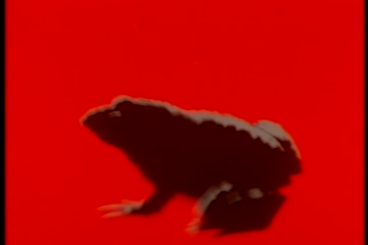 BASTARD!! (1992 OVA) Ep 5: Thunder Empress Arshes Nei @ 03:14