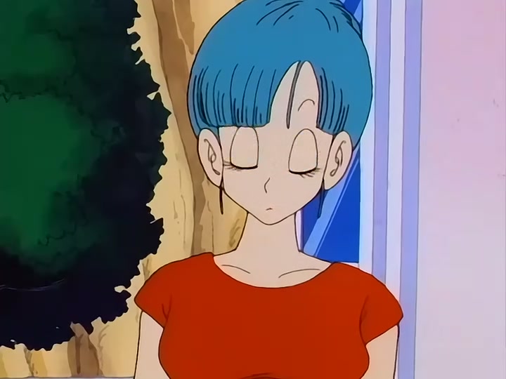 Dragon Ball Ep 111: Roshi's Gambit @ 00:01:35