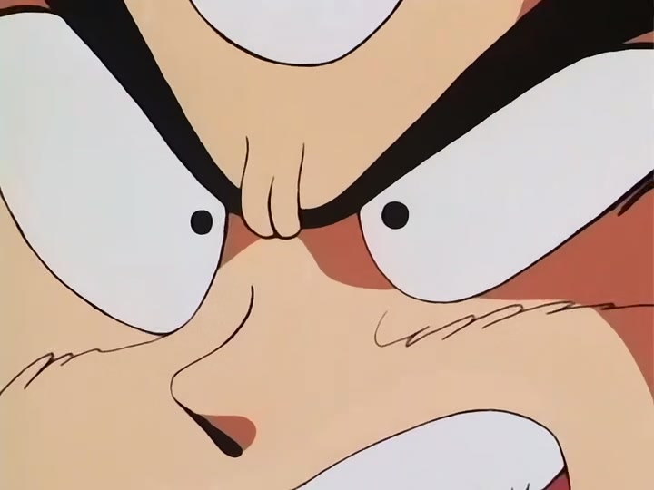 Dragon Ball Ep 111: Roshi's Gambit @ 00:11:35