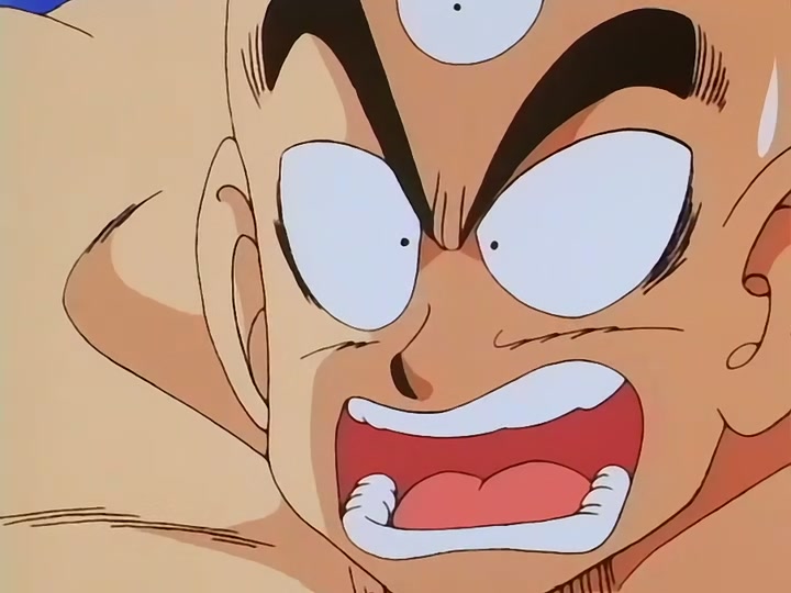 Dragon Ball Ep 111: Roshi's Gambit @ 00:13:28