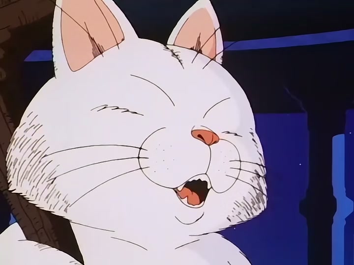 Dragon Ball Ep 115: Awaken Darkness @ 00:05:39