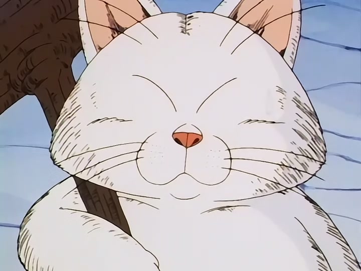 Dragon Ball Ep 115: Awaken Darkness @ 00:07:02