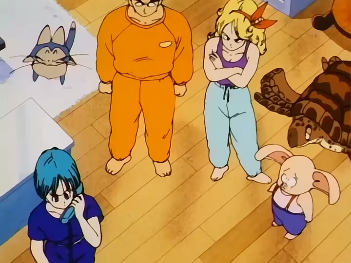 Dragon Ball Ep 119: Battle Cry @ 00:03:15