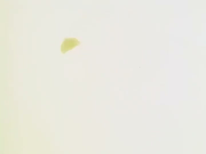 Dragon Ball Ep 134: Preliminary Peril @ 00:16:04