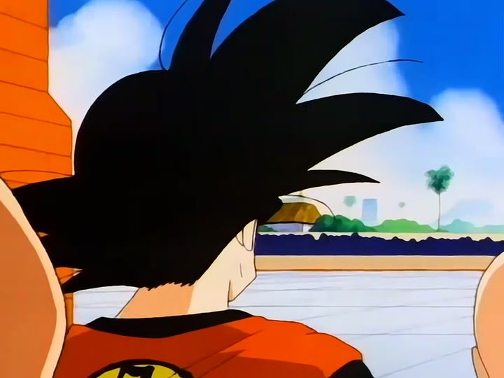 Dragon Ball Ep 139: Rematch @ 00:05:31