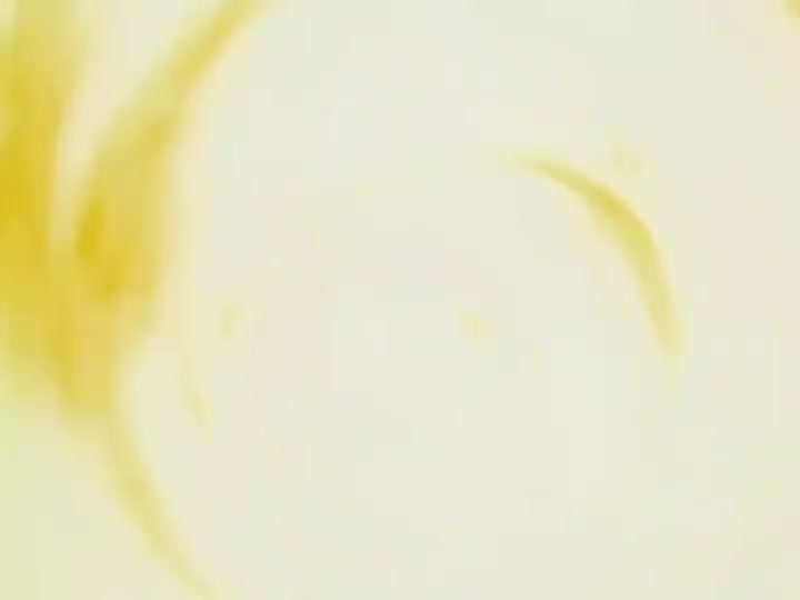 Dragon Ball Ep 146: Goku's Trap @ 00:16:41