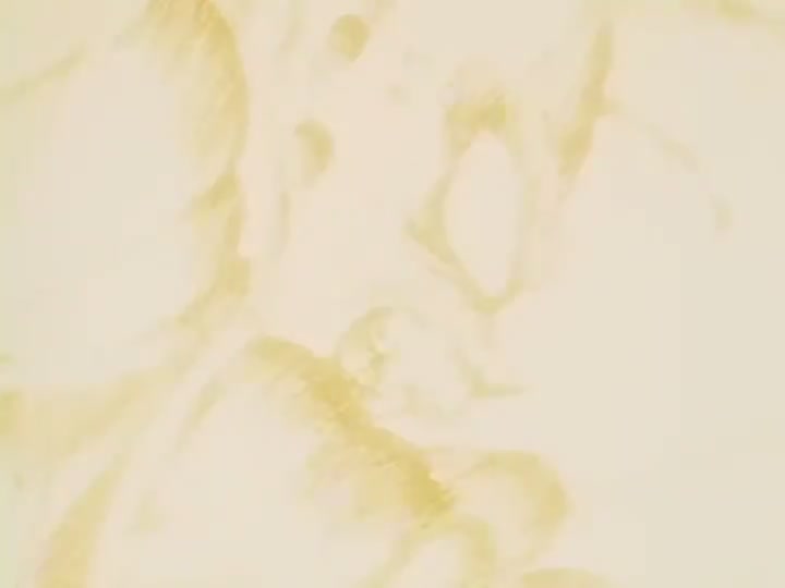 Dragon Ball Ep 147: Goku Hangs On @ 00:05:59