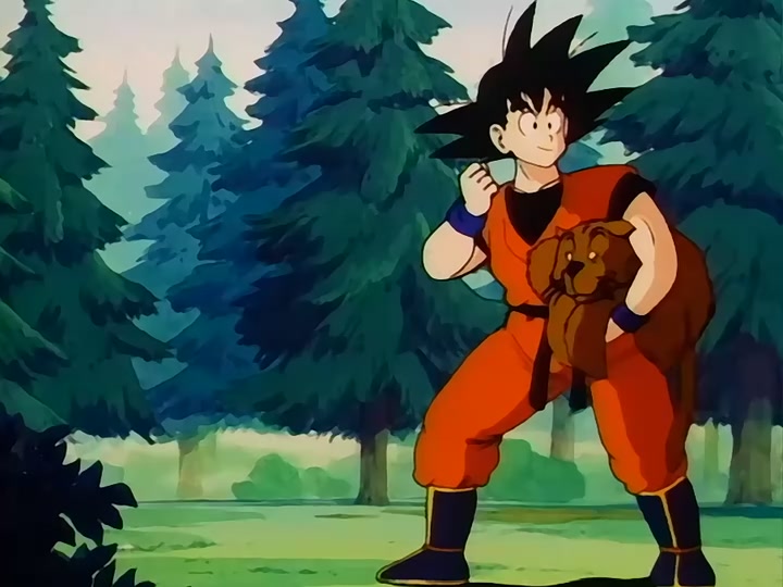 Dragon Ball Ep 151: Outrageous Octagon @ 00:05:14