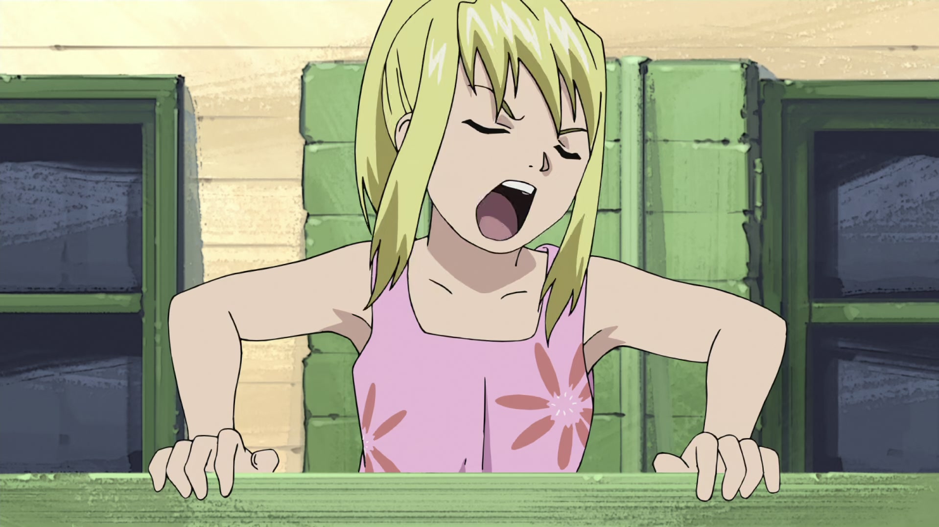Fullmetal Alchemist: Brotherhood Ep 2: The First Day @ 00:19:03