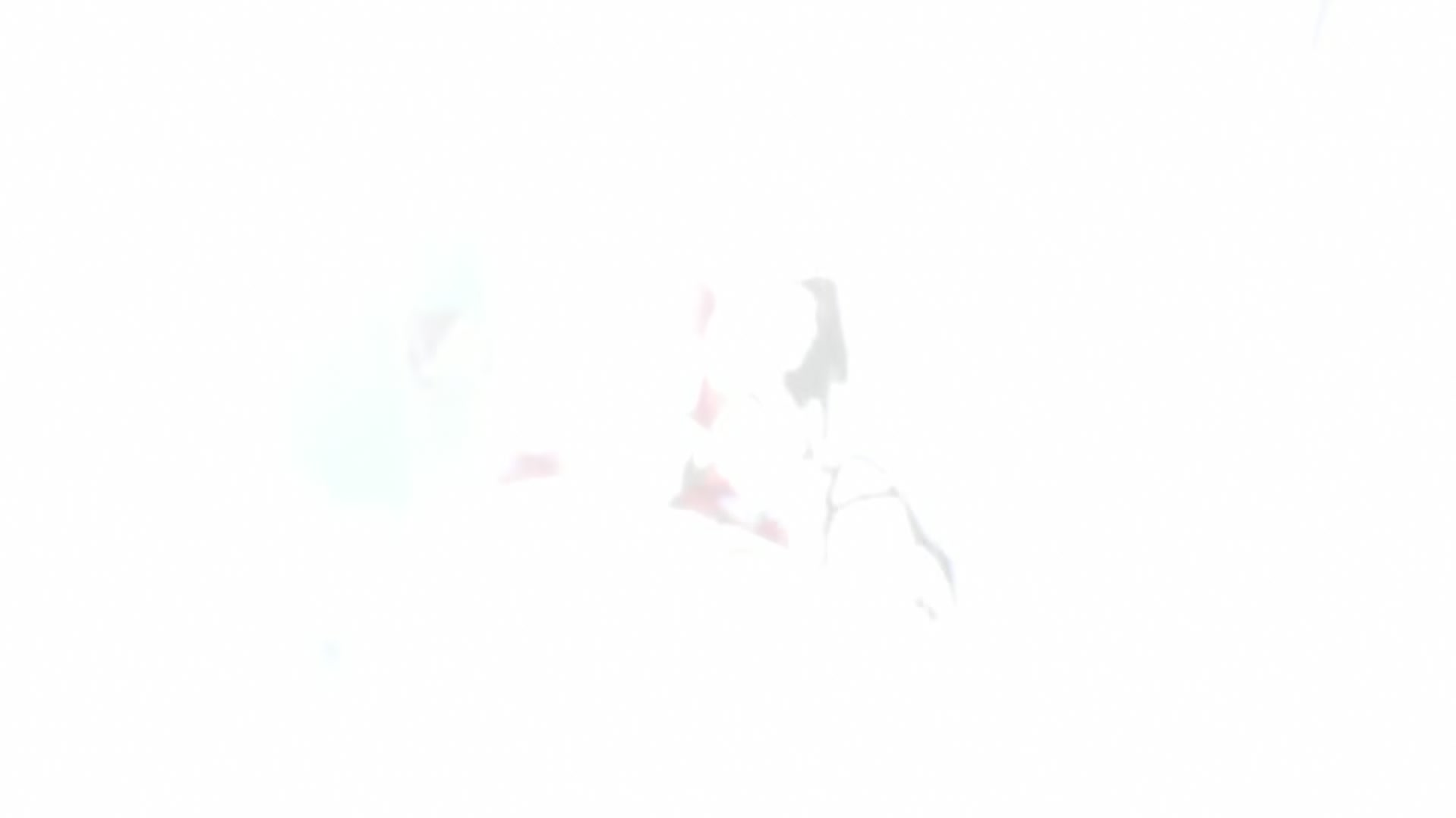 Fullmetal Alchemist: Brotherhood Ep 4: An Alchemist's Anguish @ 00:22:00