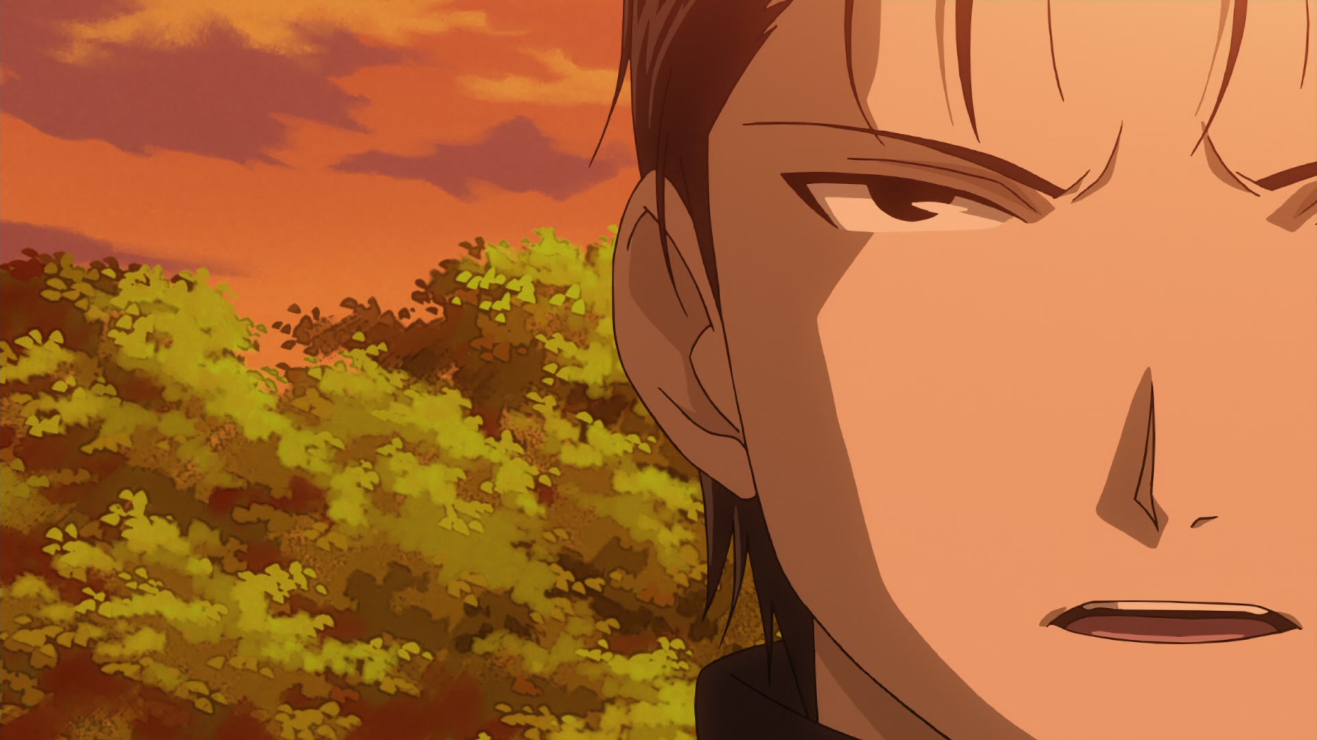 Fullmetal Alchemist: Brotherhood Ep 10: Separate Destinations @ 00:21:34