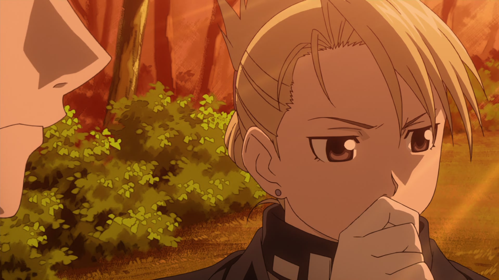 Fullmetal Alchemist: Brotherhood Ep 10: Separate Destinations @ 00:21:41
