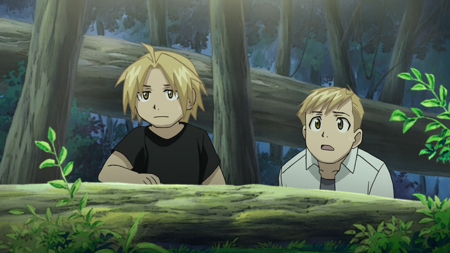 Fullmetal Alchemist: Brotherhood Ep 12: One Is All, All Is One @ 00:12:17