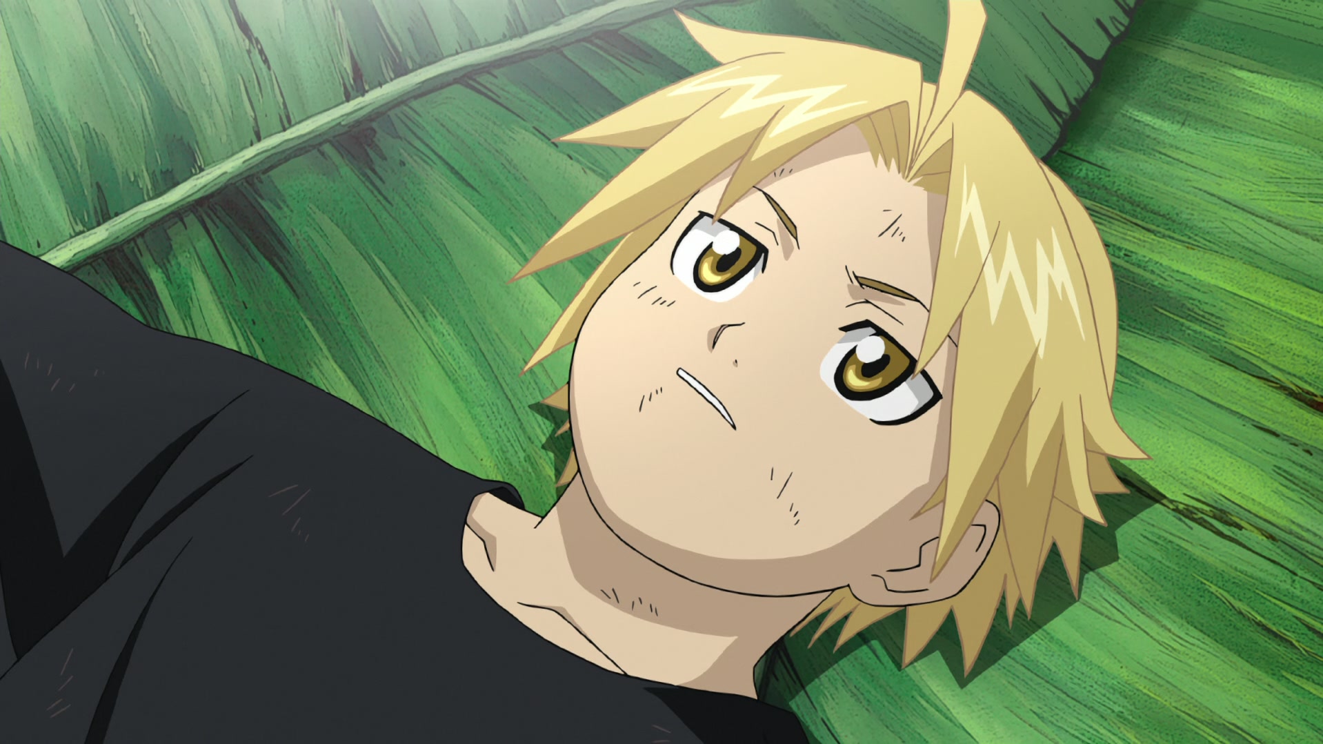 Fullmetal Alchemist: Brotherhood Ep 12: One Is All, All Is One @ 00:13:48