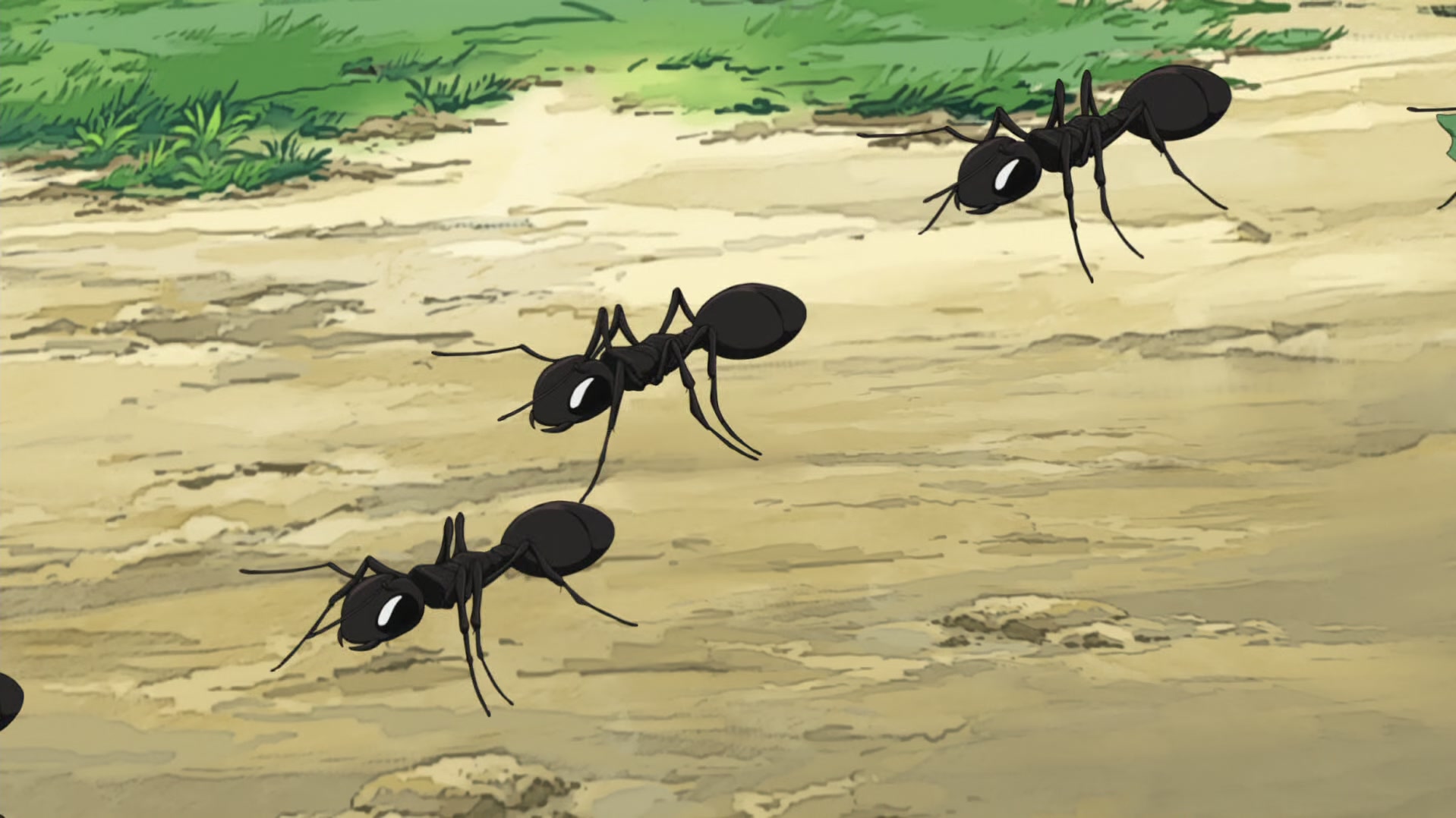 Fullmetal Alchemist: Brotherhood Ep 12: One Is All, All Is One @ 00:14:00