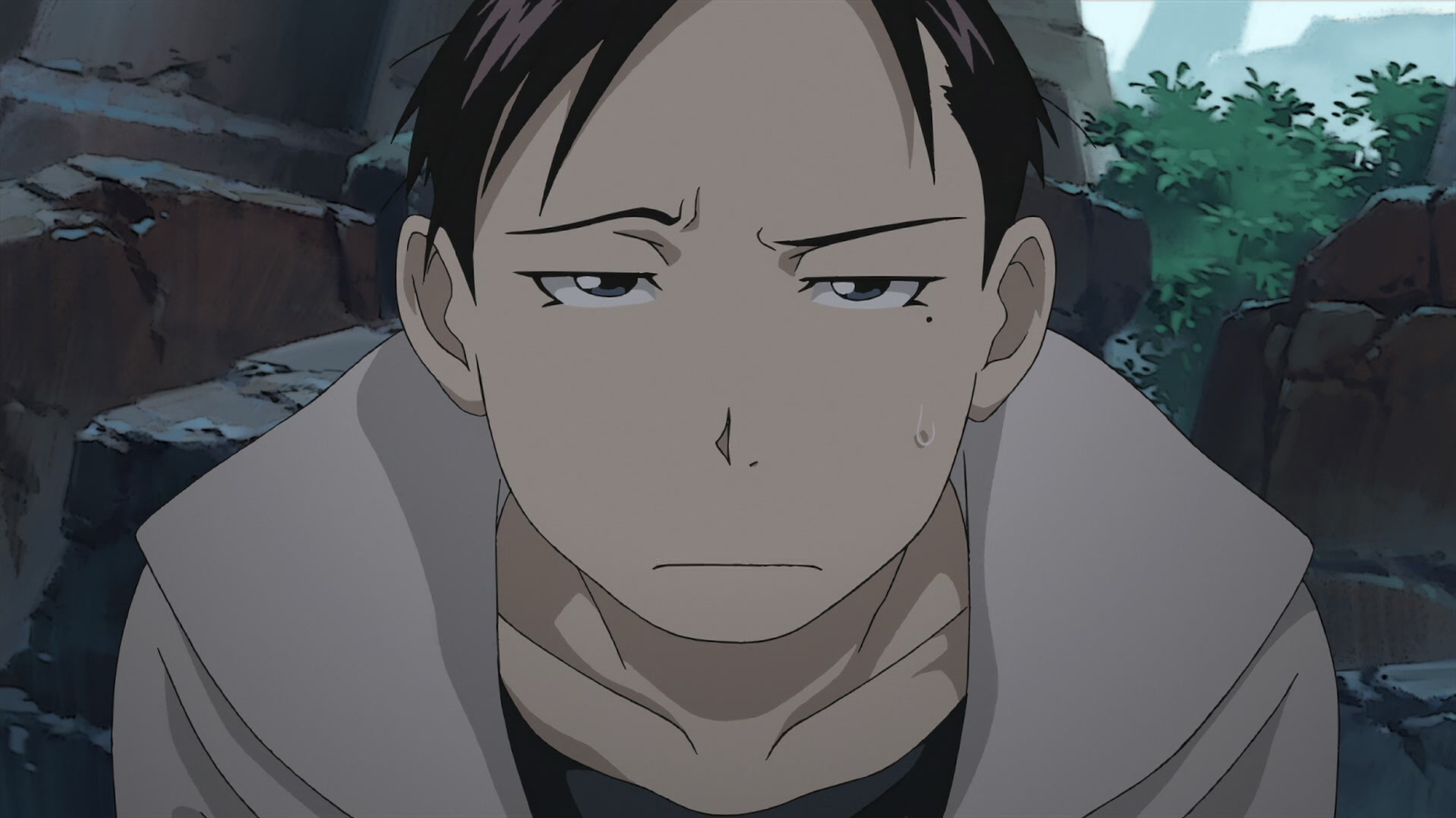 Fullmetal Alchemist: Brotherhood Ep 18: The Arrogant Palm of a Small Human @ 00:11:29