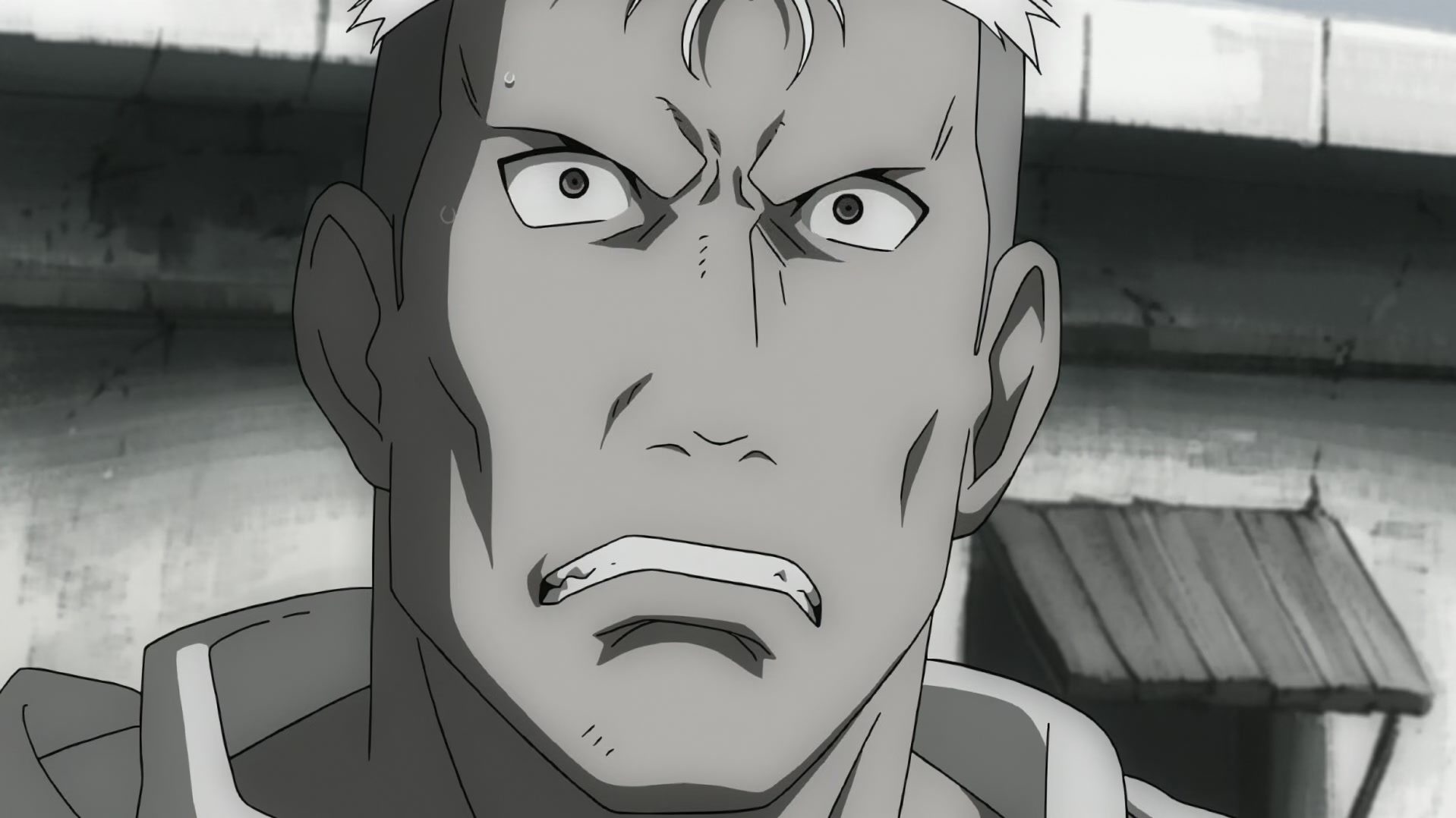 Fullmetal Alchemist: Brotherhood Ep 22: Backs in the Distance @ 00:14:21