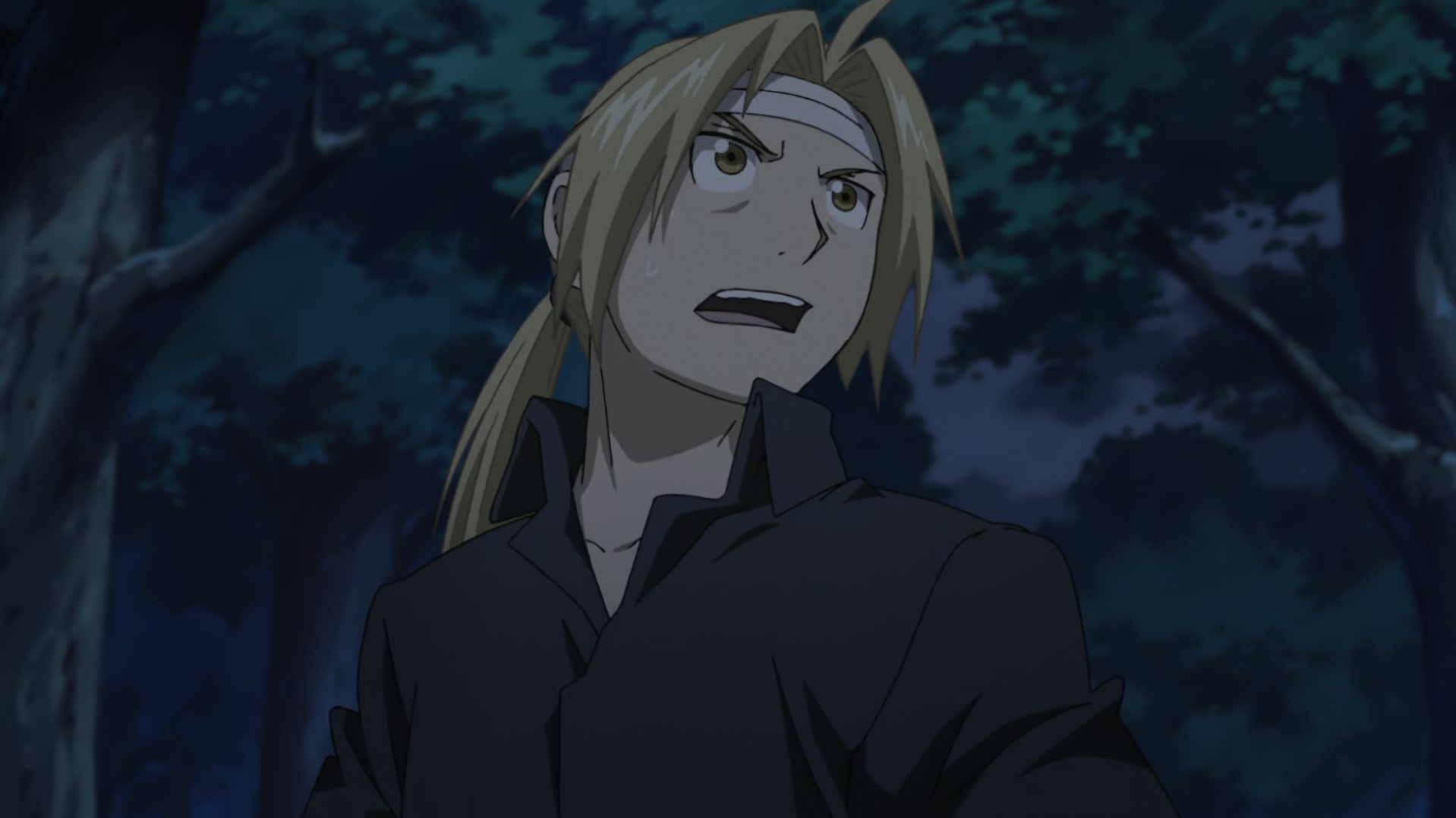 Fullmetal Alchemist: Brotherhood Ep 24: Inside the Belly @ 00:10:40