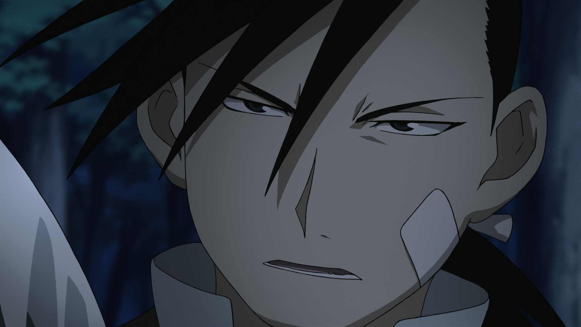 Fullmetal Alchemist: Brotherhood Ep 24: Inside the Belly @ 00:11:41