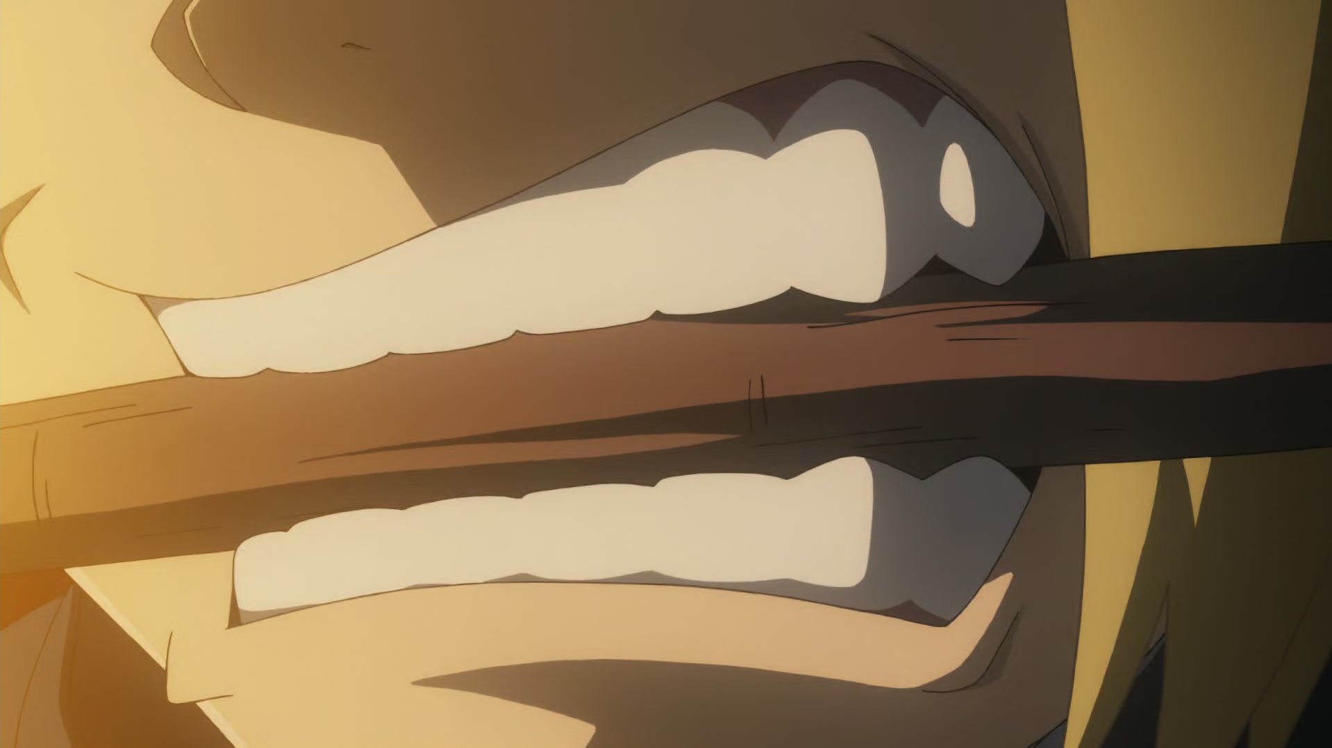 Fullmetal Alchemist: Brotherhood Ep 25: Doorway of Darkness @ 00:08:34