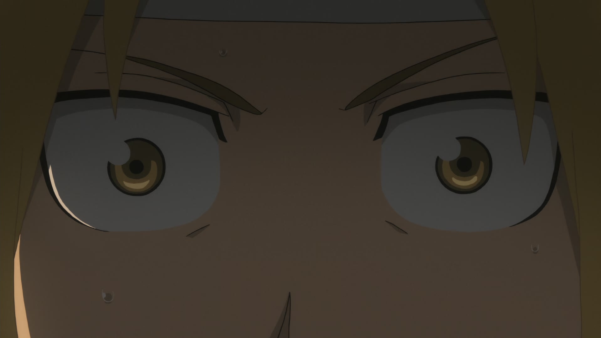 Fullmetal Alchemist: Brotherhood Ep 25: Doorway of Darkness @ 00:11:23
