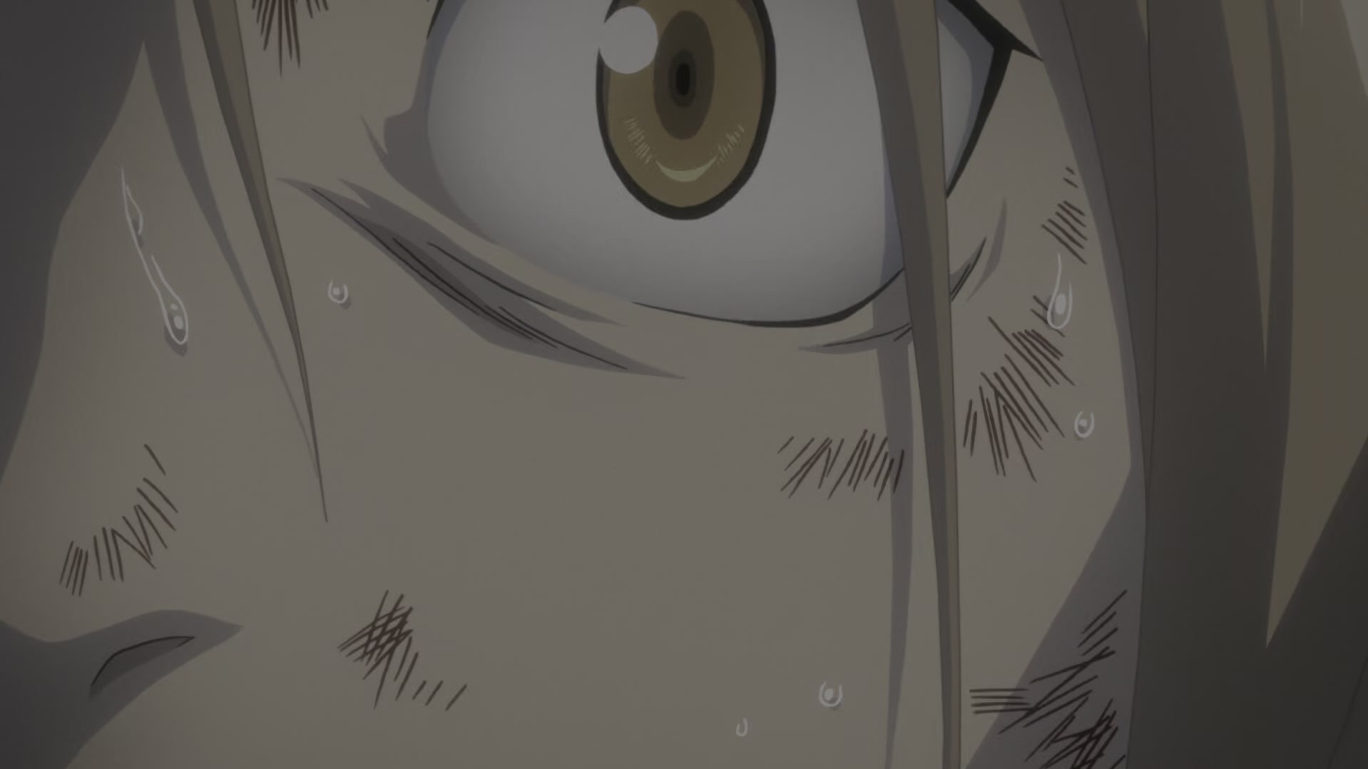 Fullmetal Alchemist: Brotherhood Ep 26: Reunion @ 00:03:11