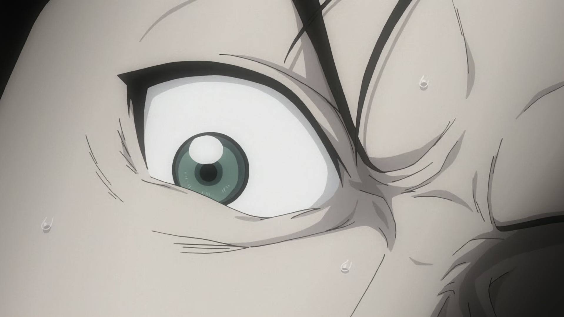 Fullmetal Alchemist: Brotherhood Ep 26: Reunion @ 00:11:34