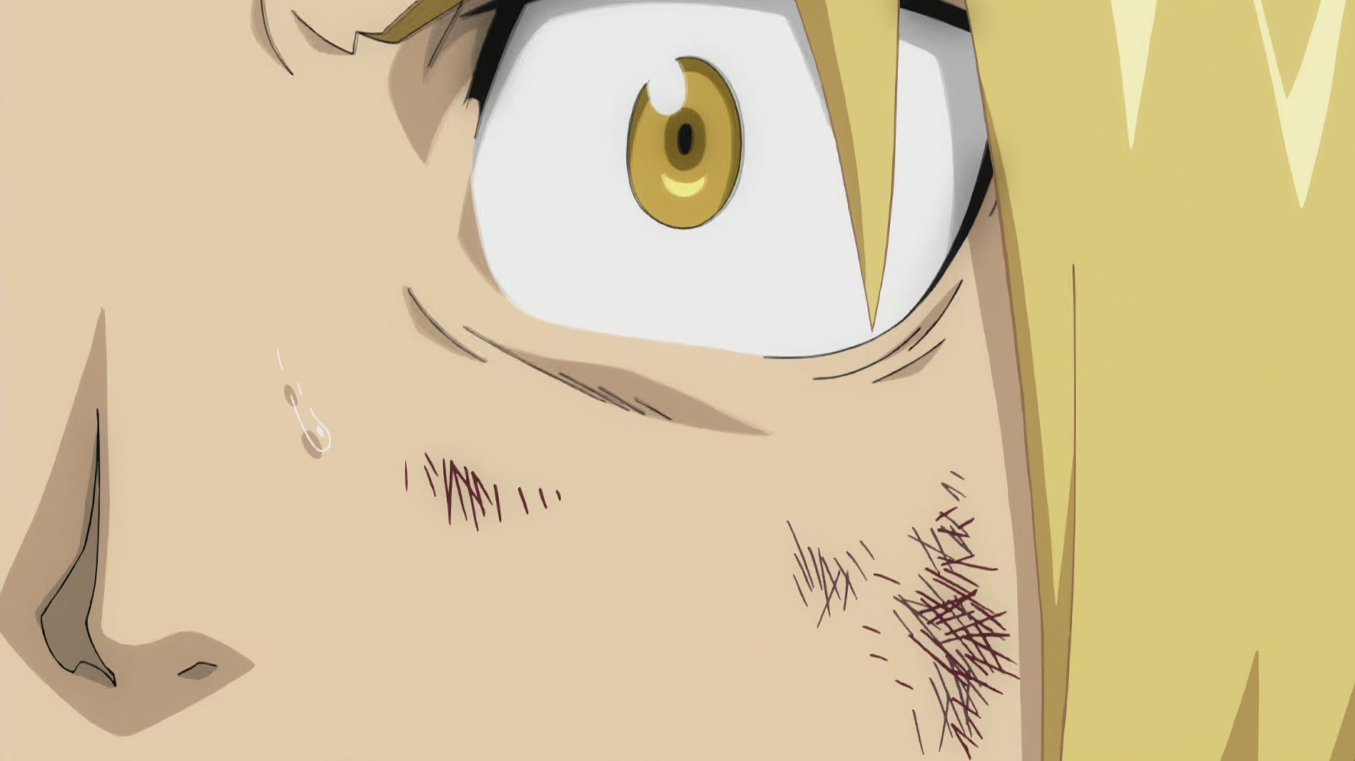 Fullmetal Alchemist: Brotherhood Ep 26: Reunion @ 00:21:16