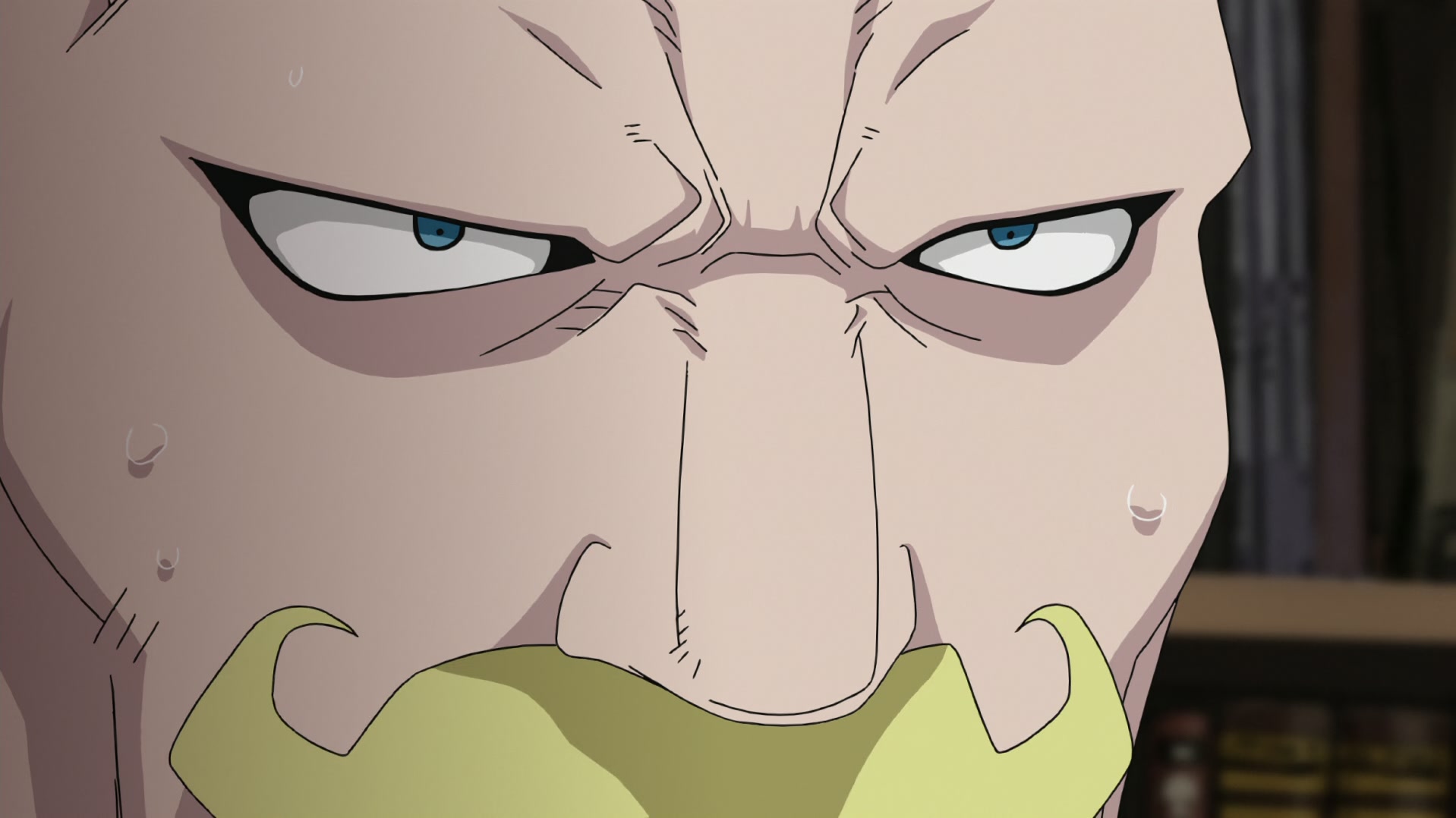 Fullmetal Alchemist: Brotherhood Ep 32: The Führer's Son @ 00:11:27