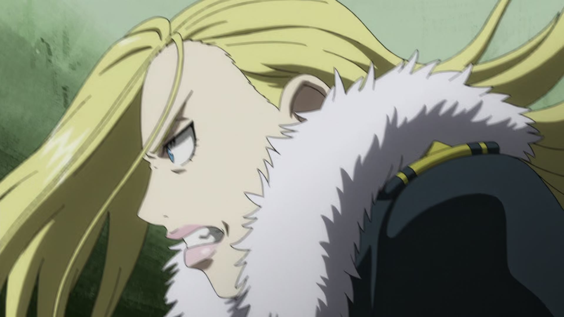 Fullmetal Alchemist: Brotherhood Ep 35: The Shape of This Country @ 00:03:45