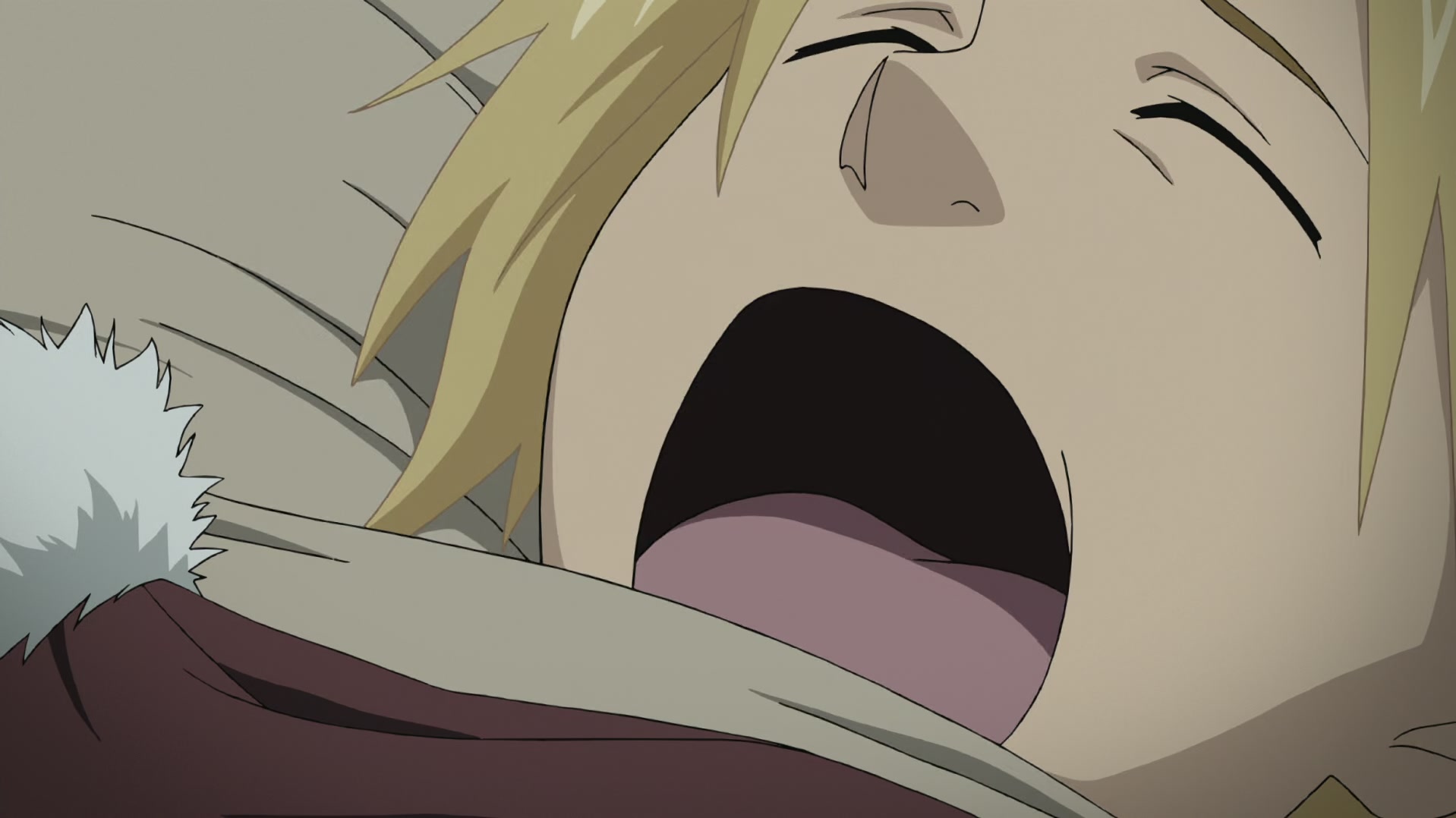 Fullmetal Alchemist: Brotherhood Ep 35: The Shape of This Country @ 00:05:31