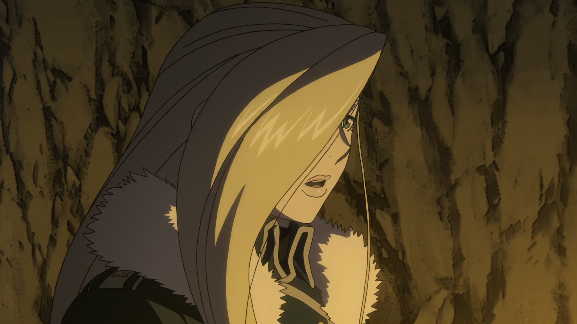 Fullmetal Alchemist: Brotherhood Ep 35: The Shape of This Country @ 00:11:11