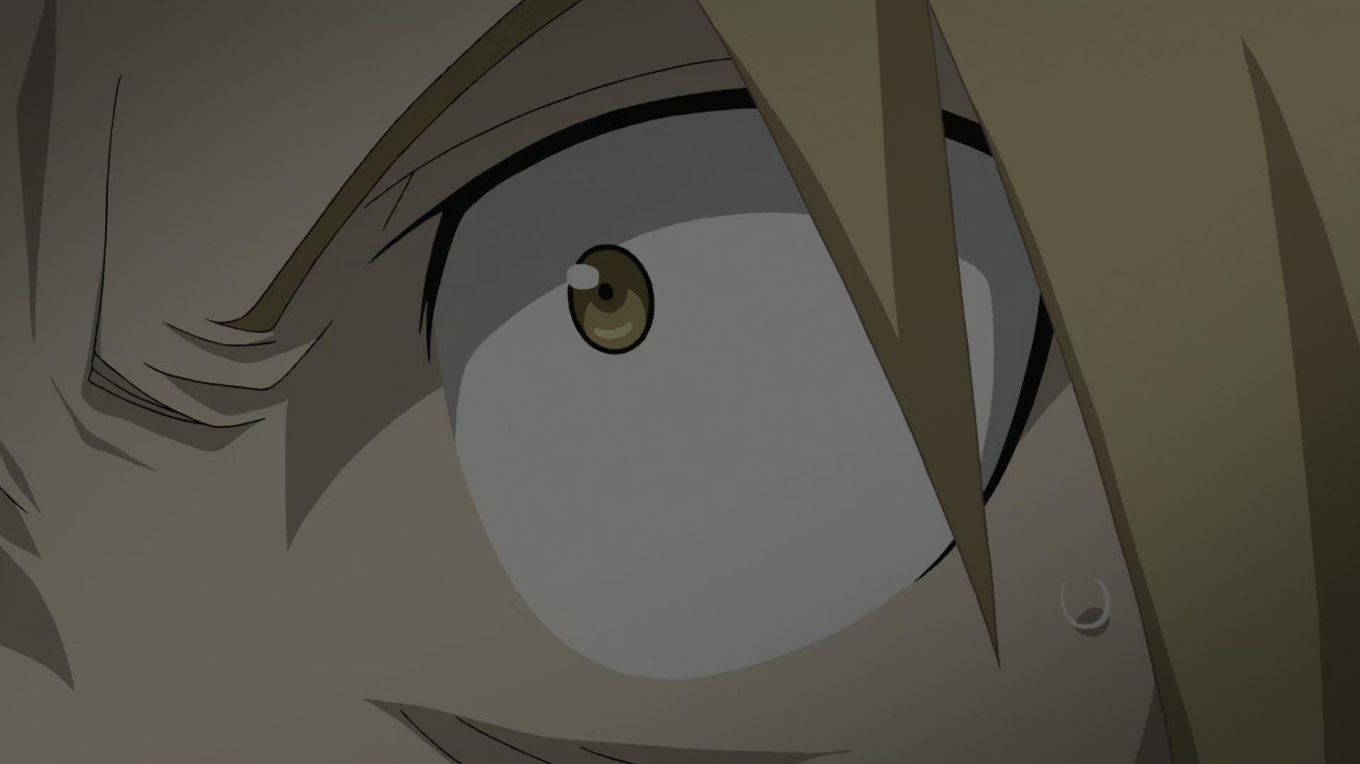 Fullmetal Alchemist: Brotherhood Ep 41: The Abyss @ 00:15:20