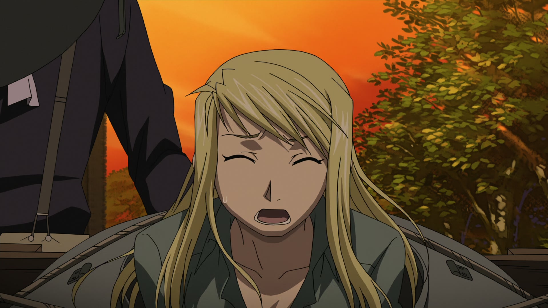 Fullmetal Alchemist: Brotherhood Ep 46: Looming Shadows @ 00:02:44