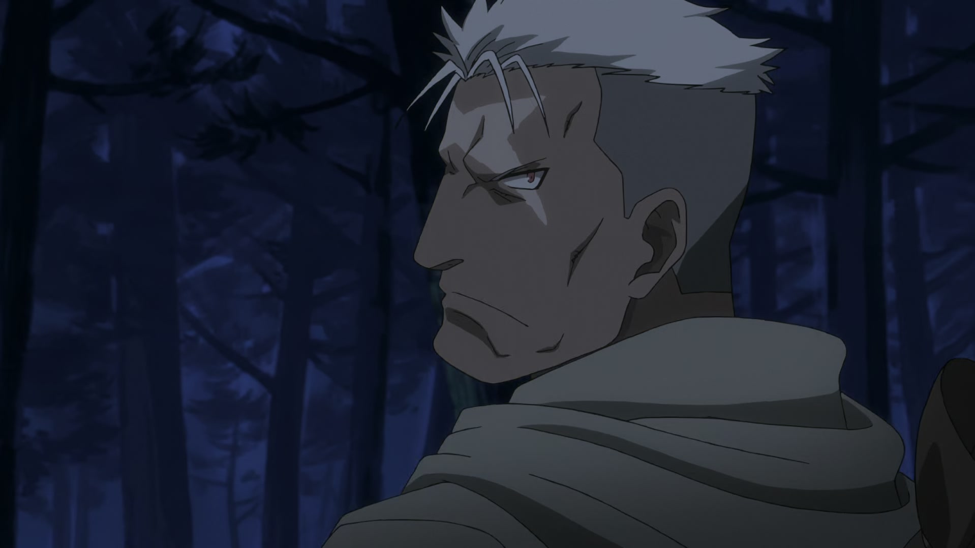 Fullmetal Alchemist: Brotherhood Ep 46: Looming Shadows @ 00:12:01