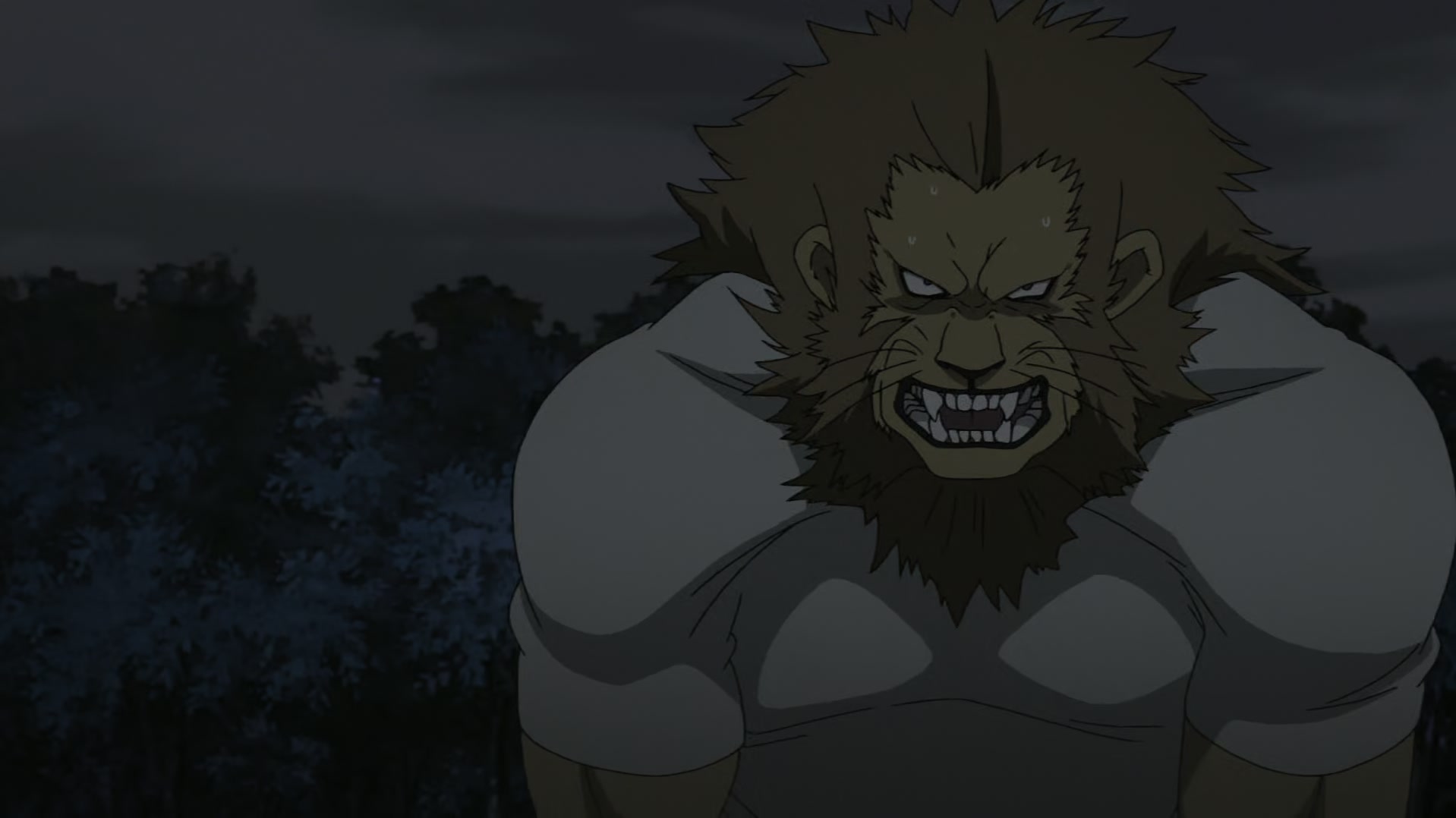 Fullmetal Alchemist: Brotherhood Ep 48: The Oath in the Tunnel @ 00:06:47