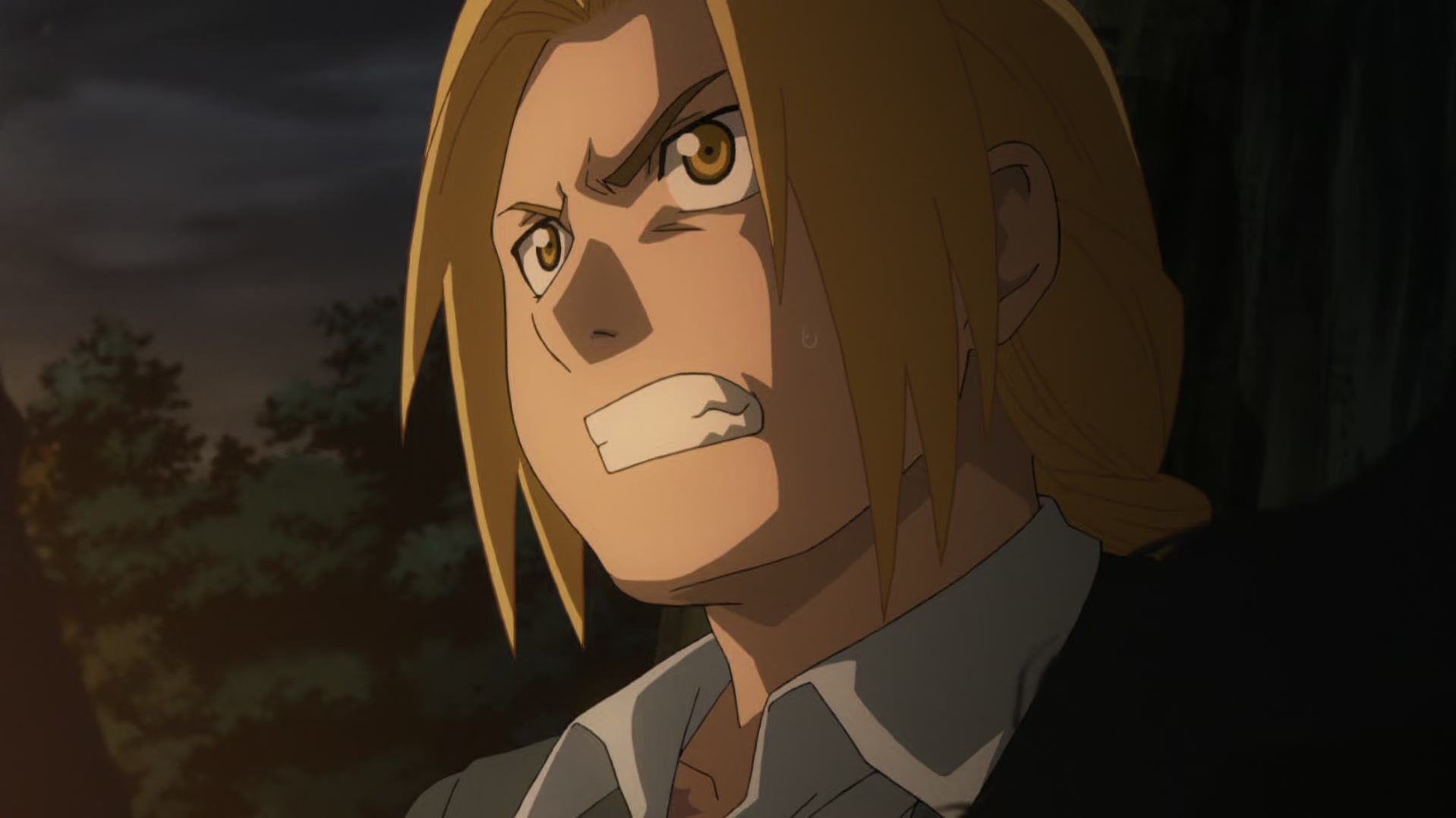 Fullmetal Alchemist: Brotherhood Ep 49: Filial Affection @ 00:02:50
