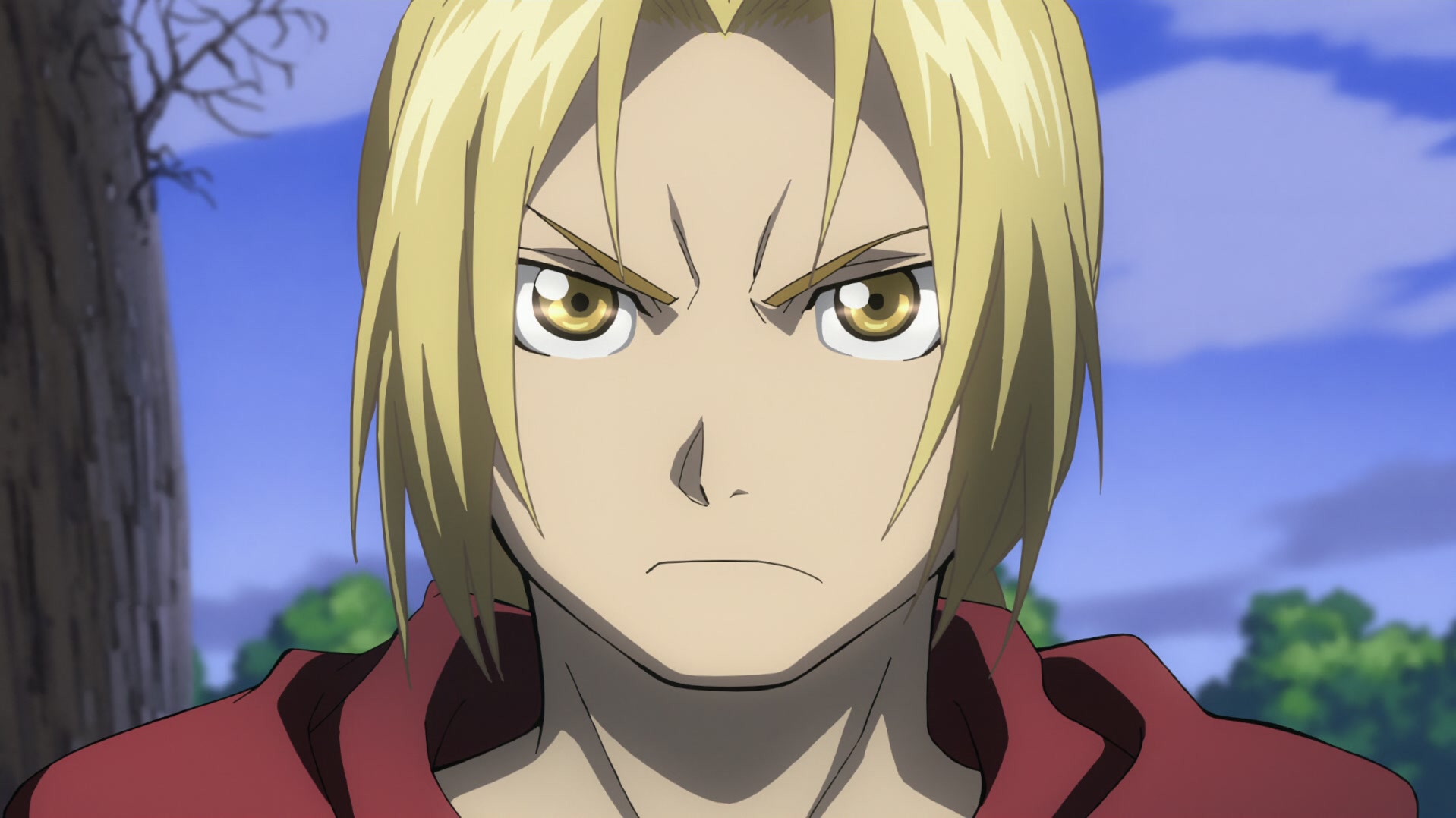 Fullmetal Alchemist: Brotherhood Ep 49: Filial Affection @ 00:20:31