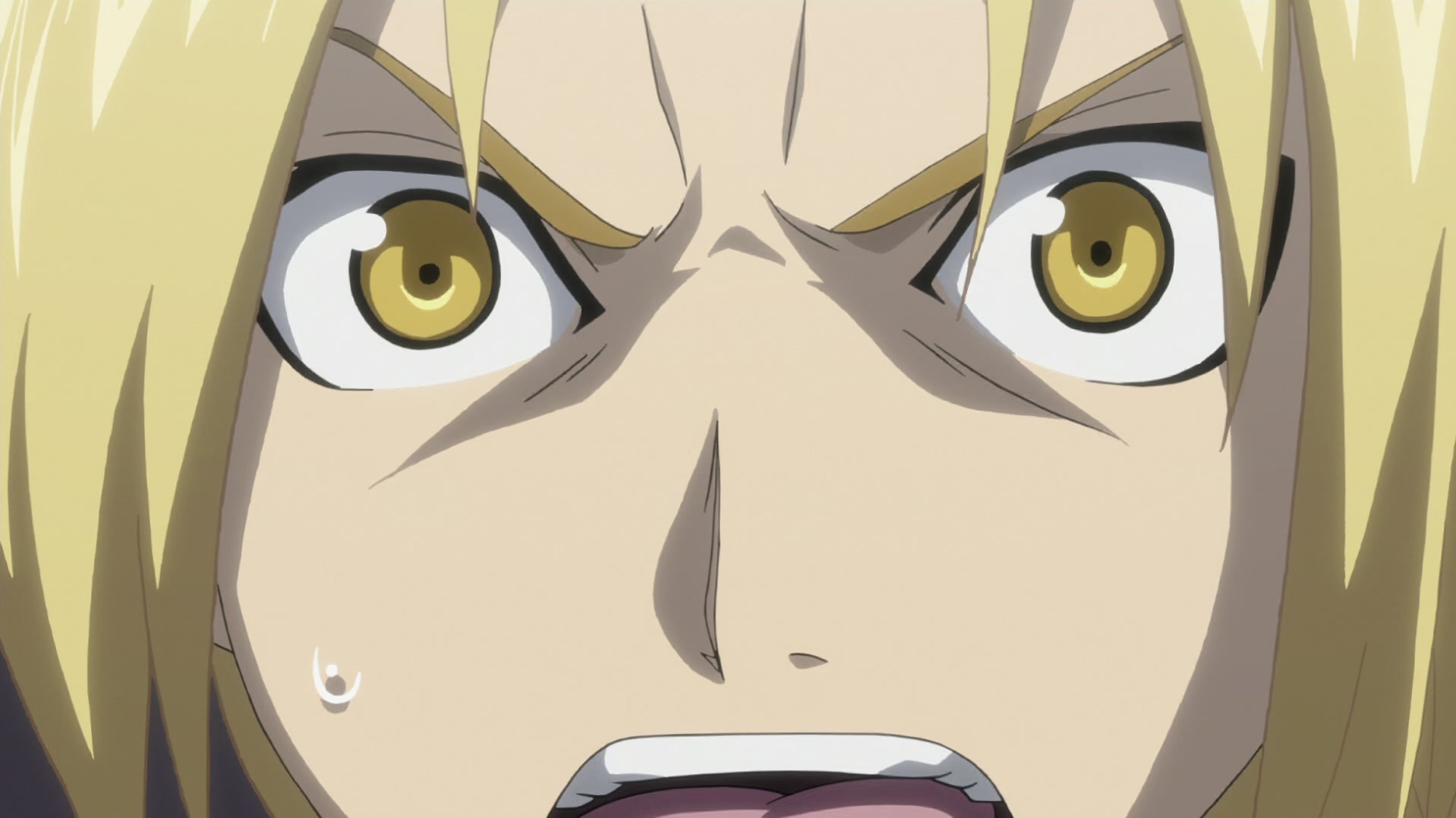 Fullmetal Alchemist: Brotherhood Ep 51: The Immortal Legion @ 00:07:14