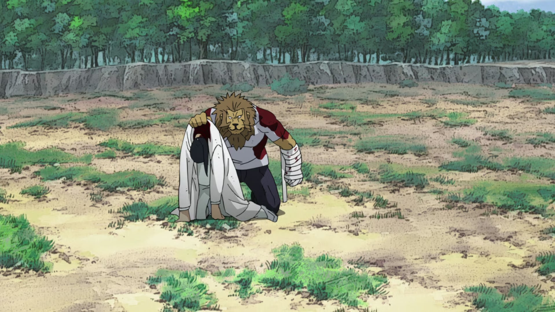 Fullmetal Alchemist: Brotherhood Ep 52: Combined Strength @ 00:13:23