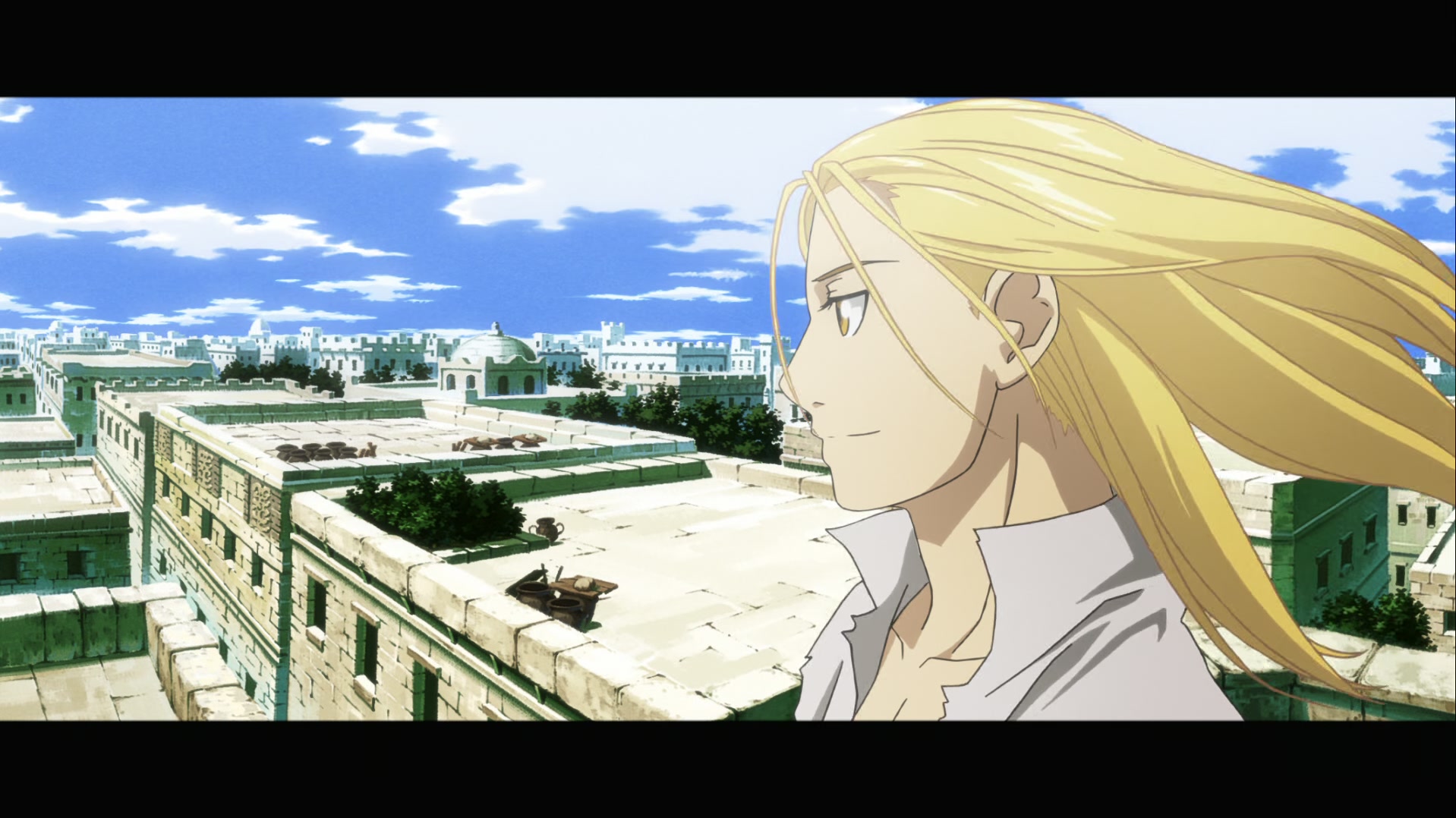 Fullmetal Alchemist: Brotherhood Ep 52: Combined Strength @ 00:22:31