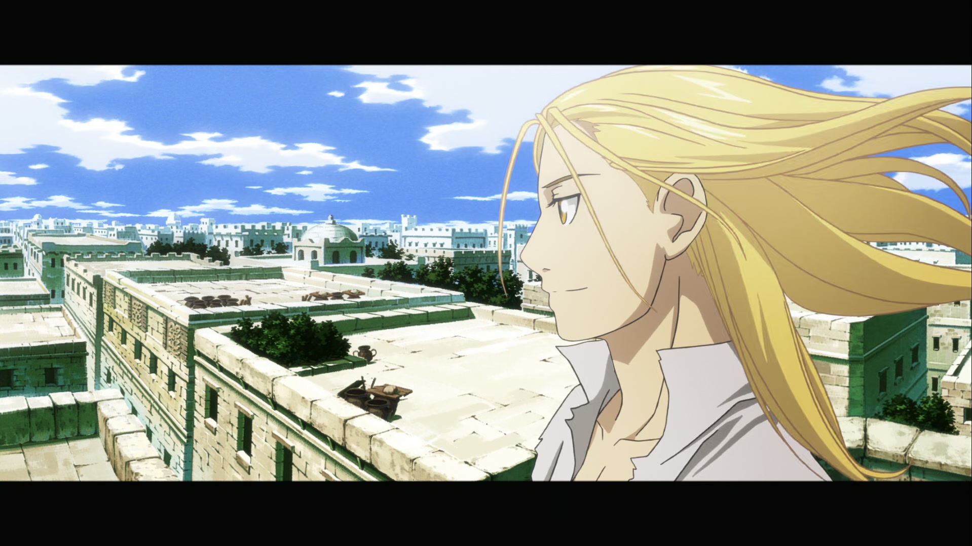 Fullmetal Alchemist: Brotherhood Ep 52: Combined Strength @ 00:22:41