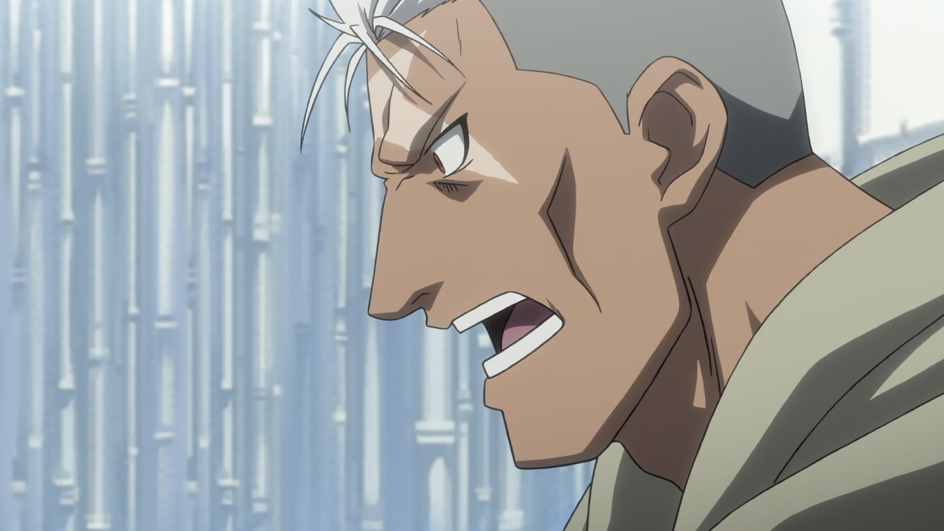 Fullmetal Alchemist: Brotherhood Ep 53: Flame of Vengeance @ 00:11:04