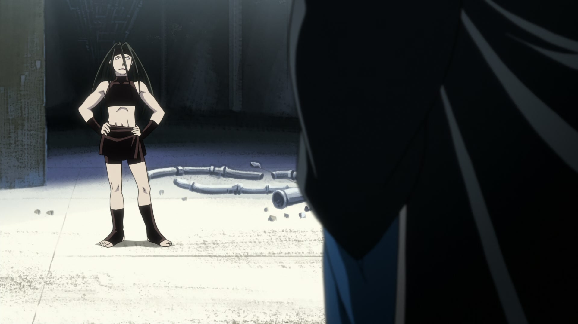 Fullmetal Alchemist: Brotherhood Ep 53: Flame of Vengeance @ 00:13:15