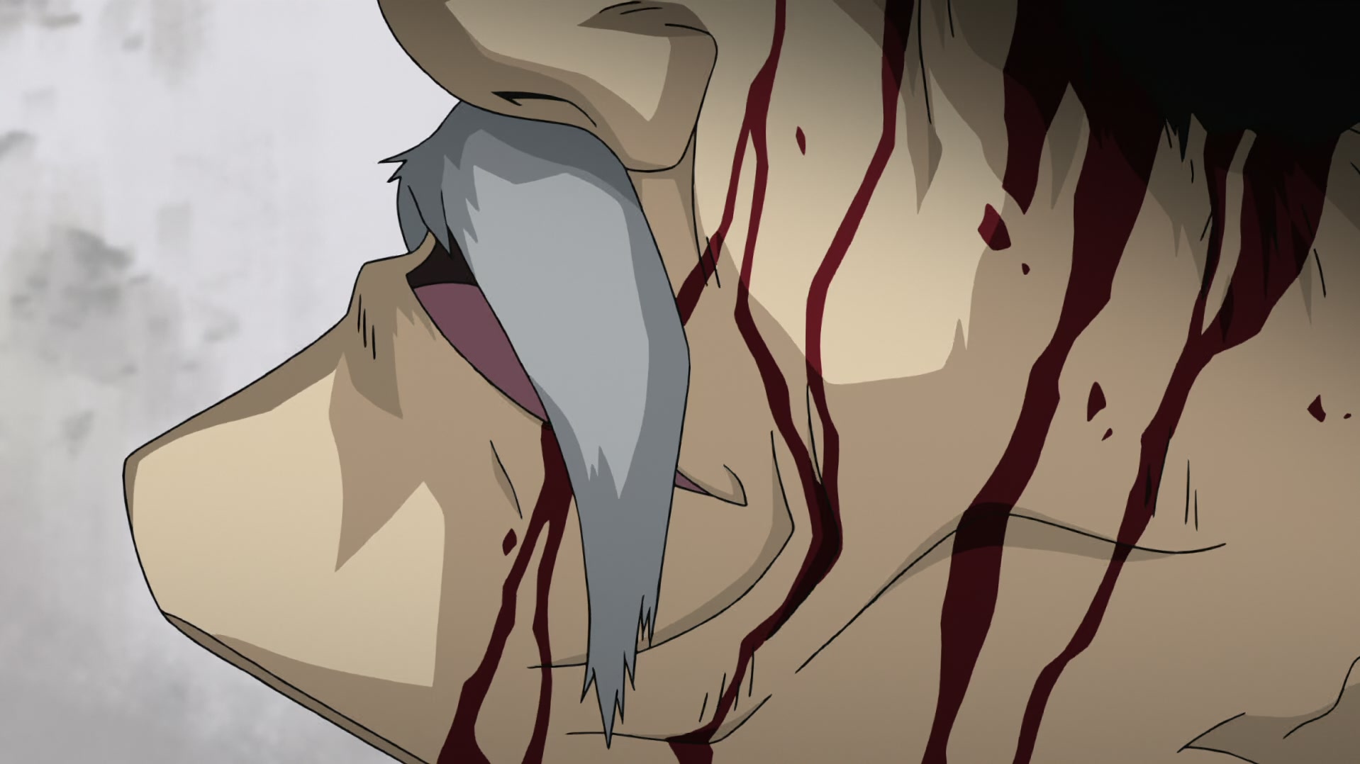 Fullmetal Alchemist: Brotherhood Ep 57: Eternal Leave @ 00:13:22