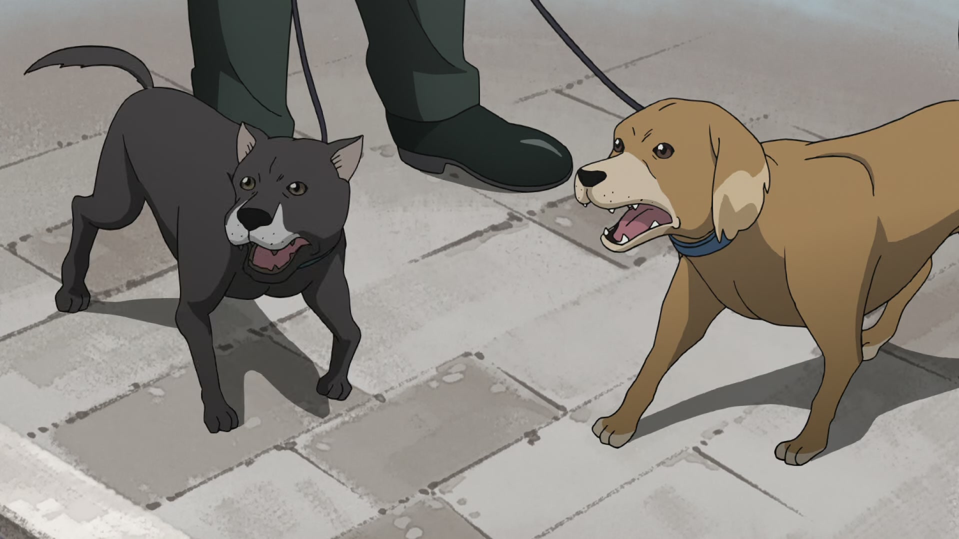 Fullmetal Alchemist: Brotherhood Ep 57: Eternal Leave @ 00:20:07