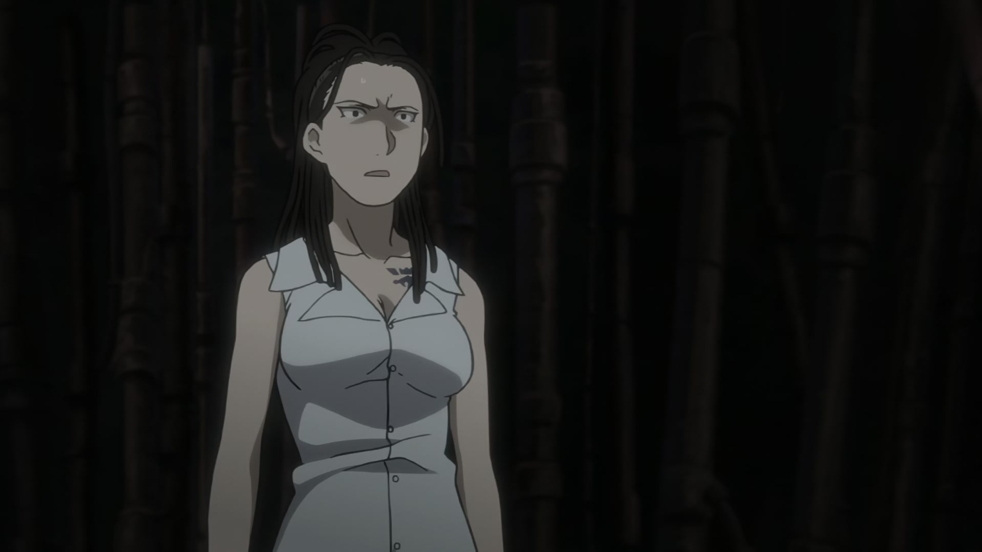 Fullmetal Alchemist: Brotherhood Ep 59: Lost Light @ 00:14:29